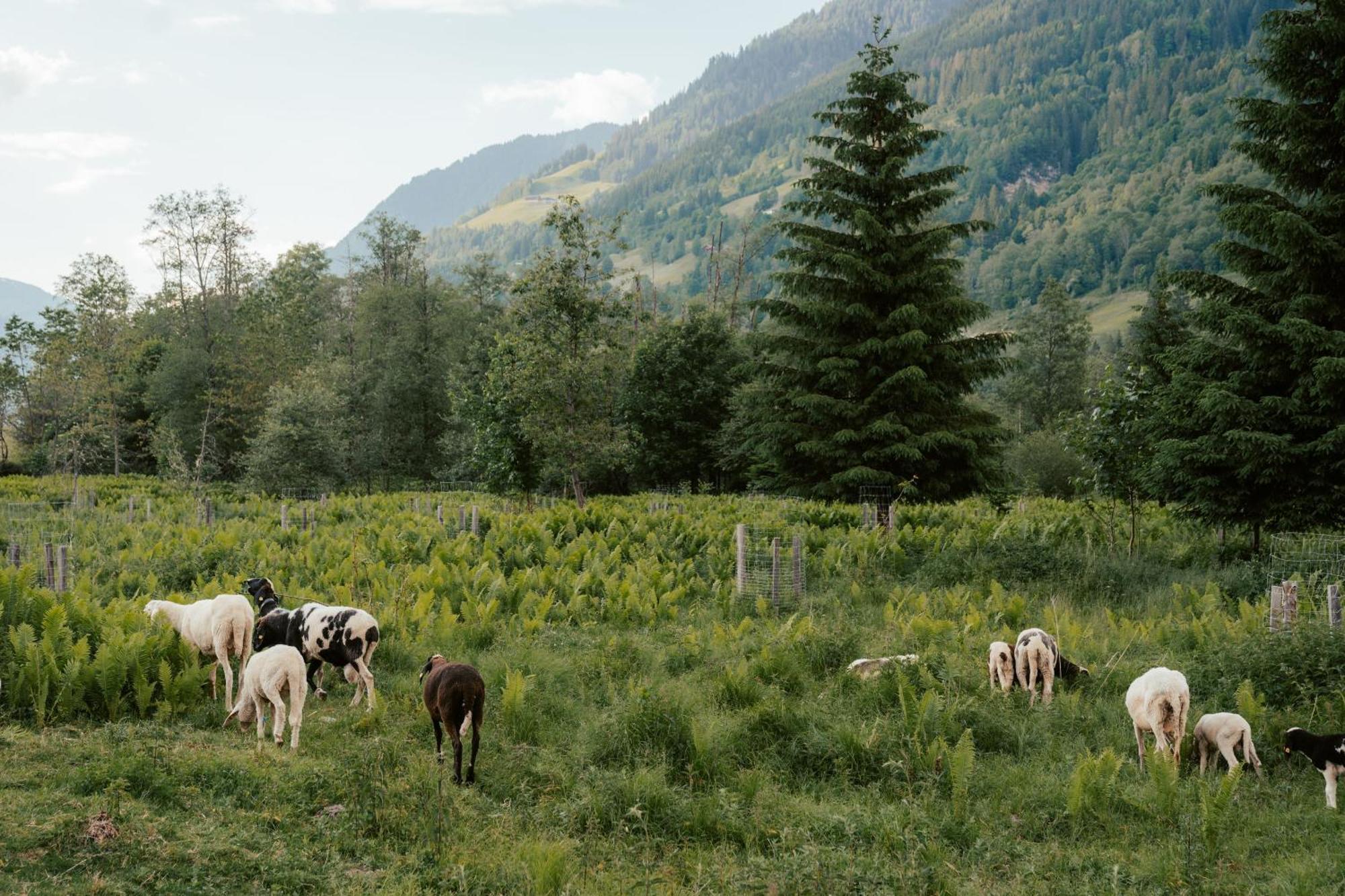 Ferienwohnungen Badbruckerweg- Bad Gastein Esterno foto